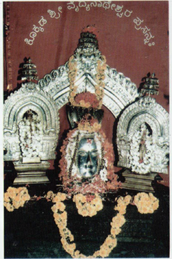 Sri Dhanvantari Mahaprabhu at Kokkada